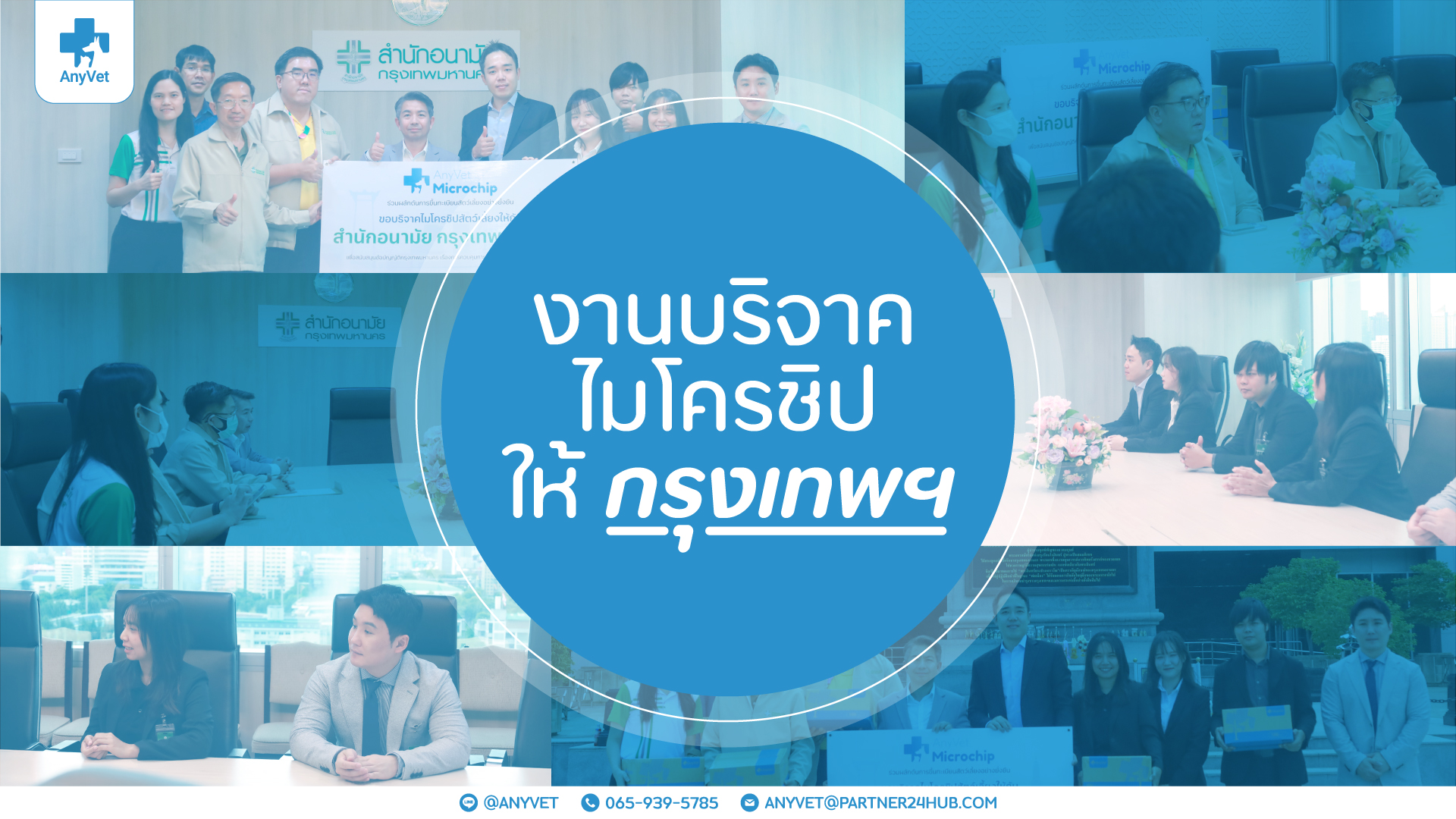AnyVet Donates 10,000 Pet Microchips to Support Bangkok’s Animal Ordinance